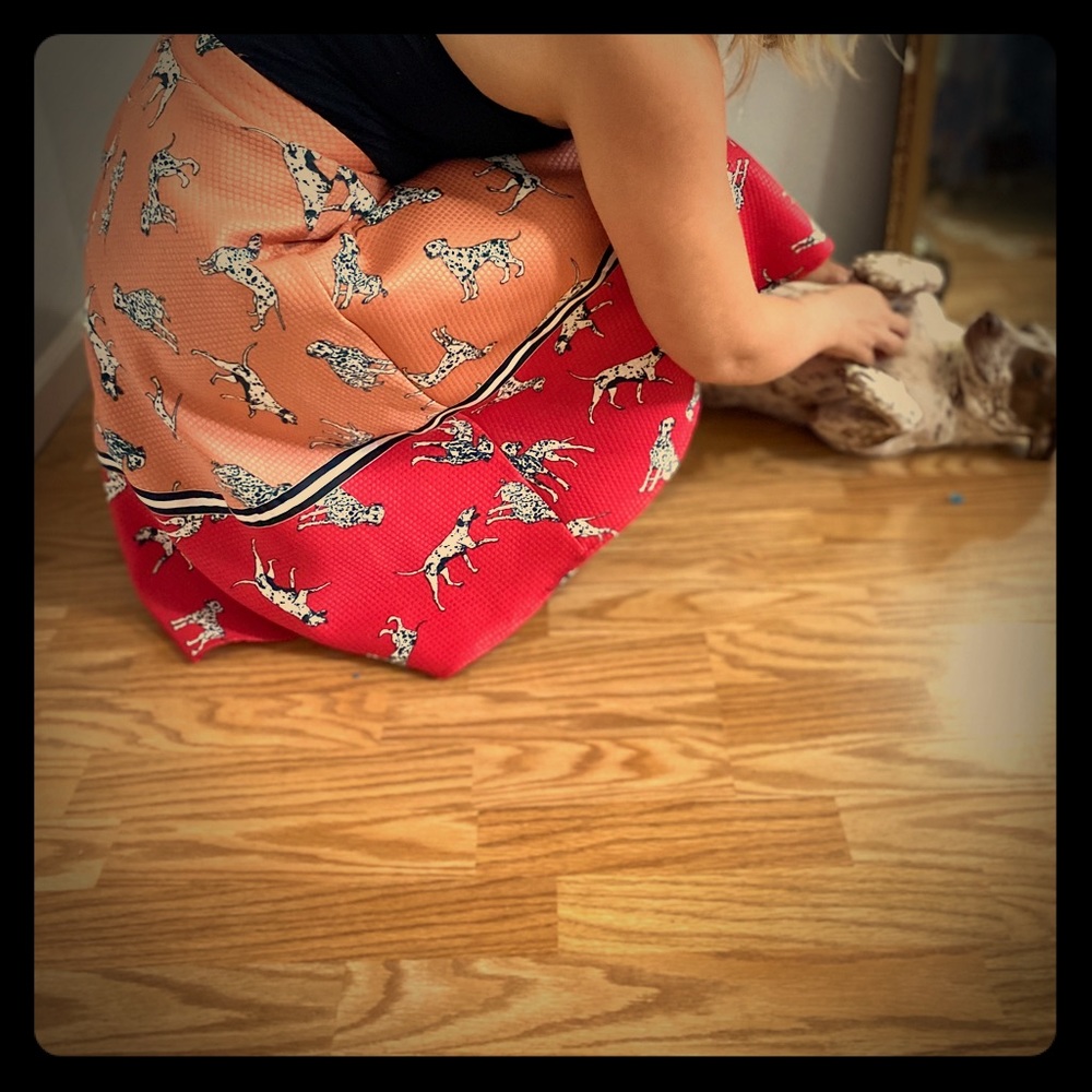 Dalmatian skirt x Anthropologie